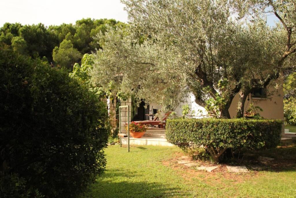 Villa Di Campagna Vicino Al Mare Орозеи Экстерьер фото